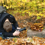 User profile picture